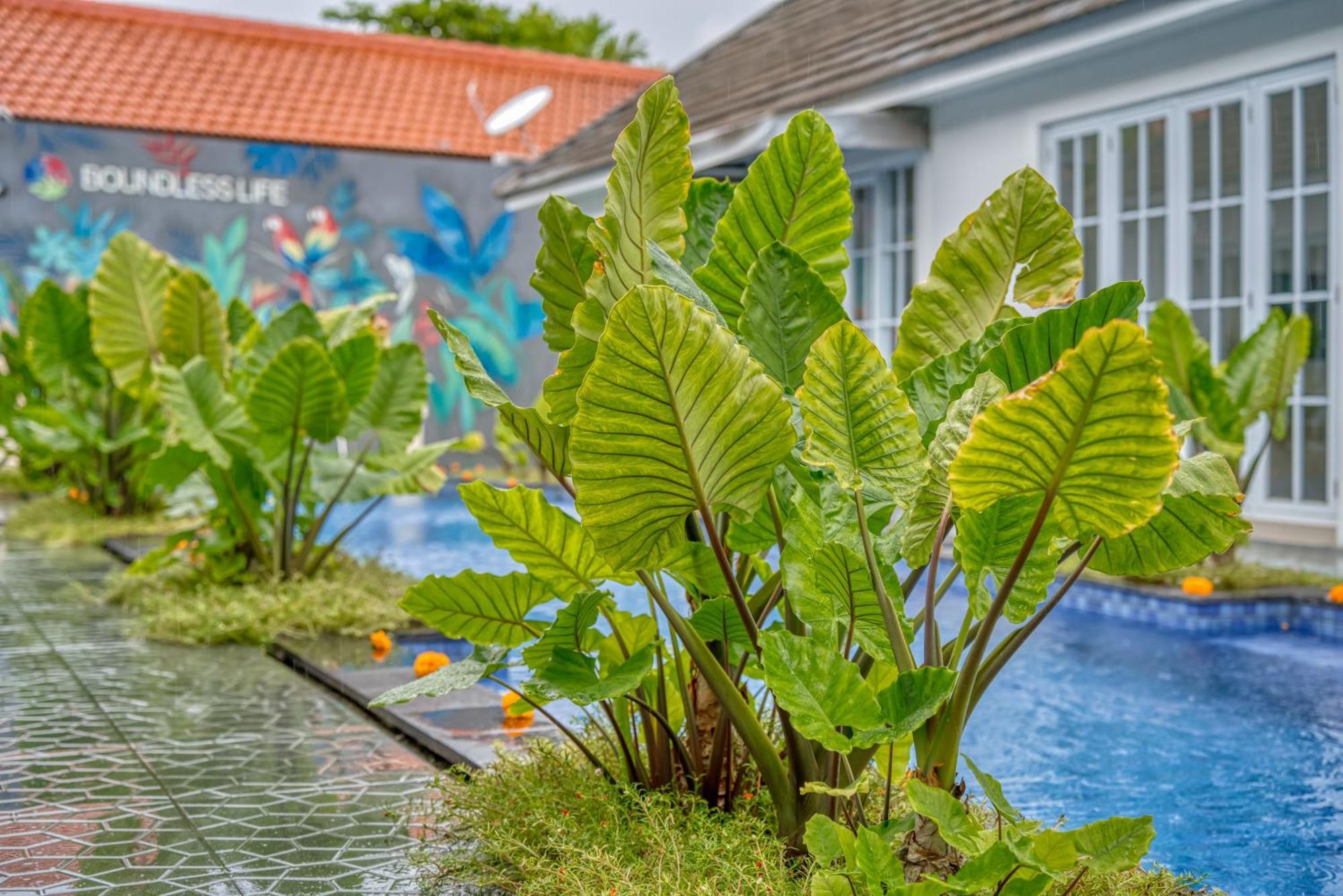 2 Bed Family Friendly With Bathtub Apartemen